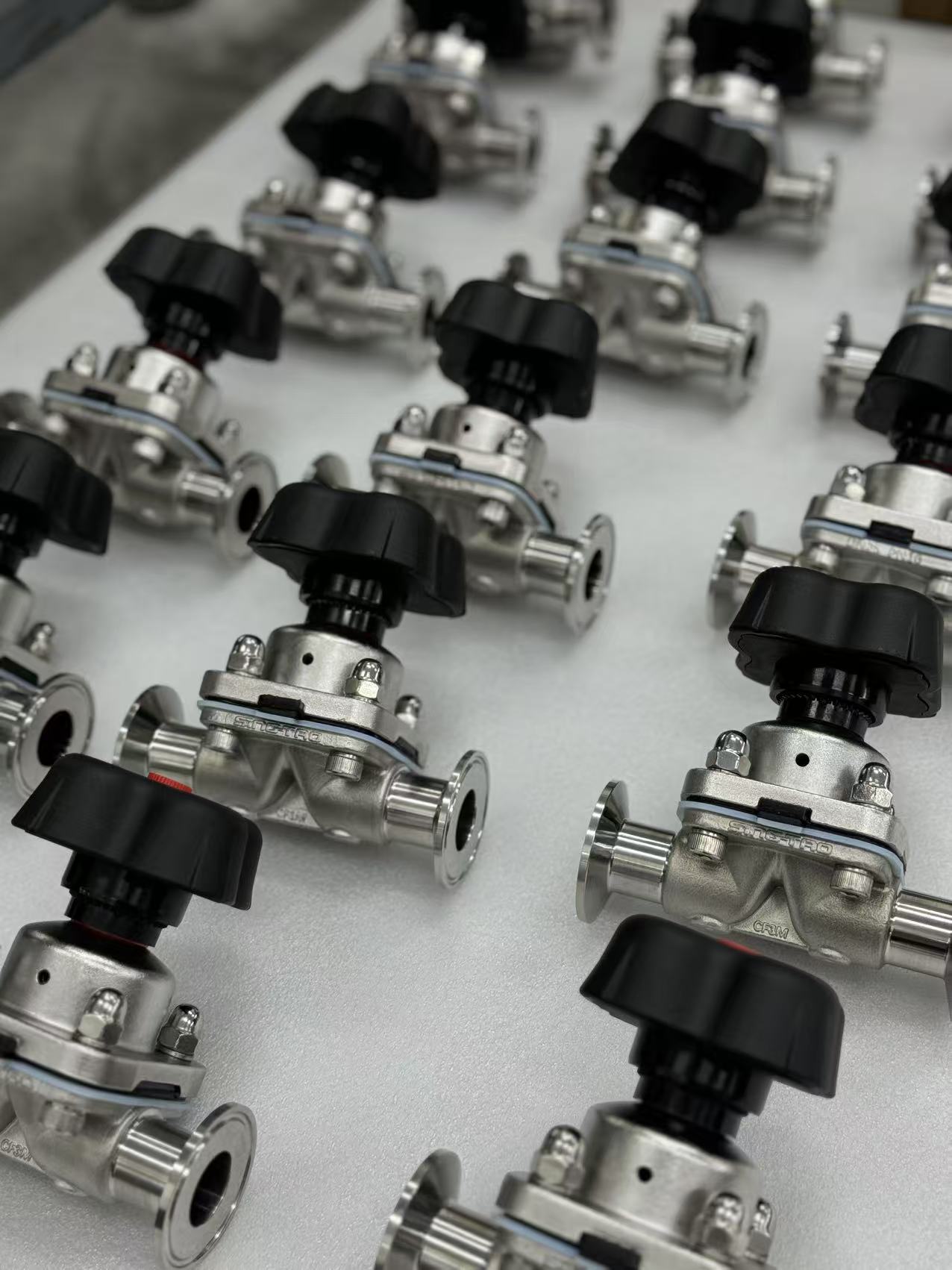 Rock’s Brand SingTao Provides Valve Solutions for Biopharmaceutical Sterile Project